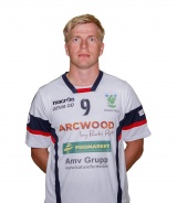 Pilt: Peedomaa_Arcwood.jpg