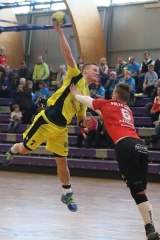 Pilt: Voika_2017.jpg