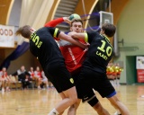 Pilt: Serviti-HCT_eel.jpg